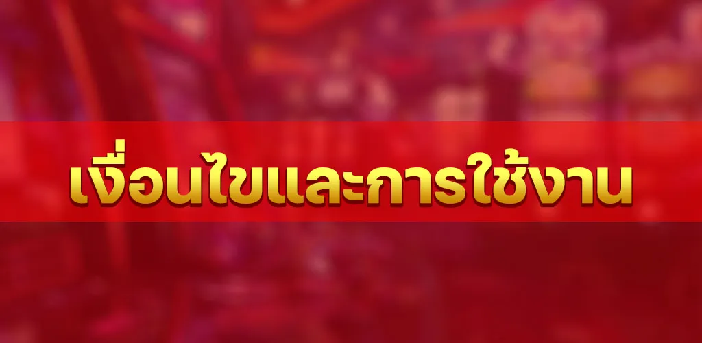 เงื่อนไขและการใช้งาน